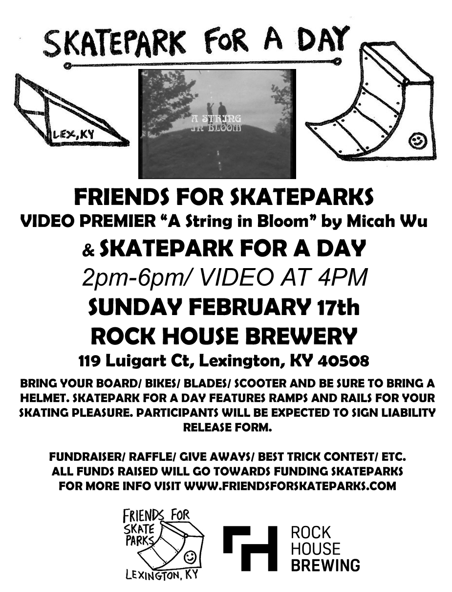 SKATEFORADAY FEB1719 copy.jpg